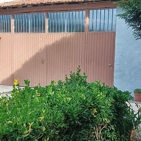 Casa Da Vovo Ceu - Casa De Campo Gandaresa - Country House, Entre Coimbra E Aveiro, A 15 Minutos Carro Praia Mira - Quintal Com Piscina Insuflavel กันดันเฮด ภายนอก รูปภาพ